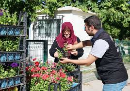 KABİR ZİYARETİNE GELENLERE ÇİÇEK DAĞITIMI YAPIYORUZ
